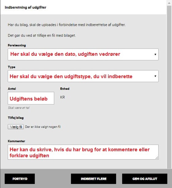 Indberetning af udgifter